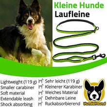 Laufleine für kleine Hunde von Hundefreund in Grün, Karabiner und Gurtband – Bild 2 von 5