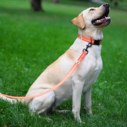Weiche Hundeleine Neon von Hundefreund in Orange mit Reflektoren für zusätzliche Sicherheit in der Dämmerung