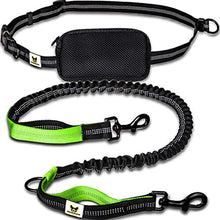 Joggingleine mit Bauchgurt von Hundefreund in Grün