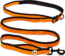 Laufleine in Orange, 187 g, ab 46 cm Bauchumfang – Bild 1 von 5