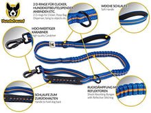Elastische Führleine von Hundefreund in Blau-Orange mit gedehntem Leinenband