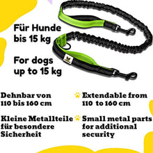 Bungeeteil für kleine Hunde von Hundefreund in Grün, Ansicht der beiden Handschlaufen