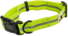 Weiches Hundehalsband von Hundefreund in Neon Orange mit variabel verstellbarem Halsumfang von 35 bis 50 cm