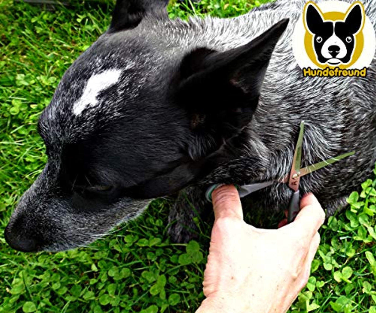 Hundeschere von Hundefreund mit abnehmbaren Innenringen und Fingerstütze