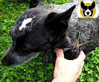 Hundeschere von Hundefreund mit abnehmbaren Innenringen und Fingerstütze