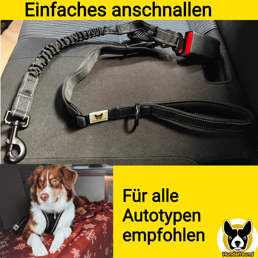 Hundesicherheitsgurt Auto Hundeleine Sicherheitsgurt 2in1 - Temu Austria