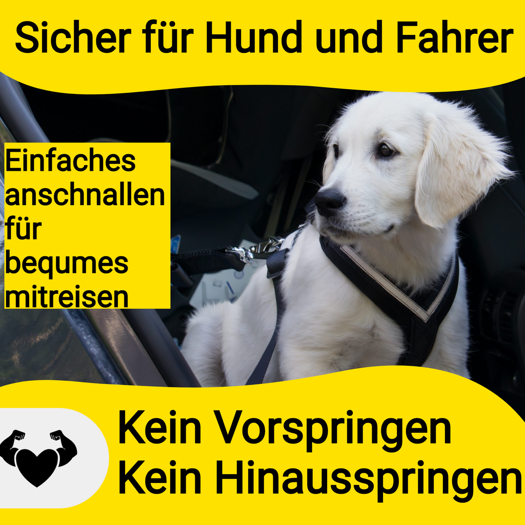 Hundefreund Hundegurt fürs Auto - Verstellbarer Sicherheitsgurt für Hu