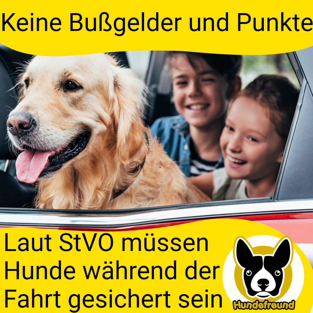 Hundefreund Hundegurt fürs Auto - Verstellbarer Sicherheitsgurt für Hu