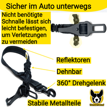Hundegurt fürs Auto von Hundefreund in Schwarz mit Übersicht der Ausstattung