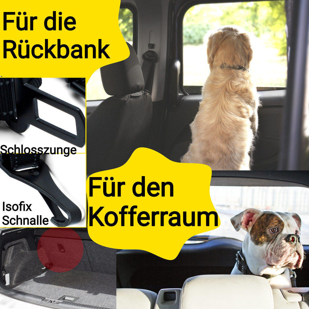 Hundebedarf: Auto Anschnallgurt für Hunde mit Ruck-Dämpfer - hundiX